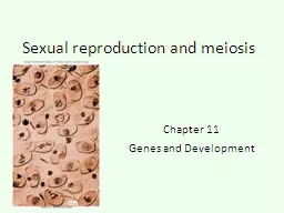 Sexual reproduction and meiosis
