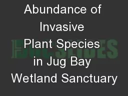 Location  and Abundance of Invasive Plant Species in Jug Bay Wetland Sanctuary