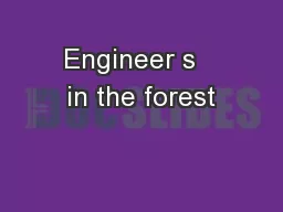 Engineer s   in the forest