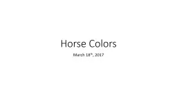 Horse Colors March 18 th