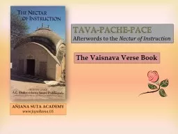 Tava - Pache -Pace Afterwords
