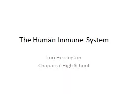 The Human Immune System Lori Herrington