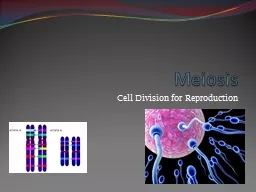 Meiosis Cell Division for Reproduction