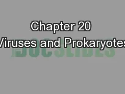 Chapter 20 Viruses and Prokaryotes