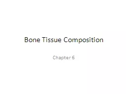 Bone Tissue Composition Chapter 6
