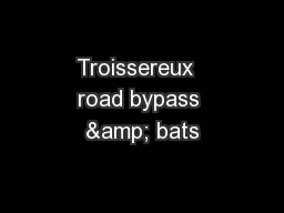 Troissereux  road bypass & bats