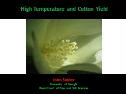 High Temperature and Cotton