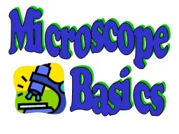 Microscope Basics The Compound Microscope