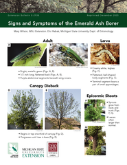 Signs and Symptoms of the Emerald Ash Borer Extension