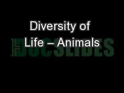 Diversity of Life – Animals