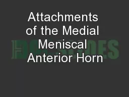 Attachments of the Medial Meniscal Anterior Horn