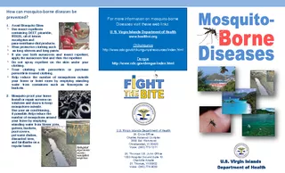 How can mosquito borne diseases be prevented