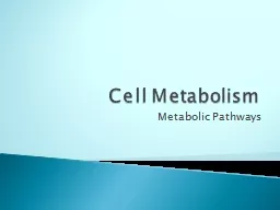 Cell Metabolism Metabolic Pathways