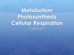 Metabolism Photosynthesis