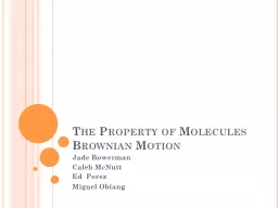 The Property of Molecules Brownian Motion