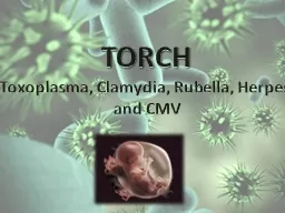 TORCH Toxoplasma,  Clamydia