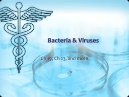 Bacteria & Viruses Ch
