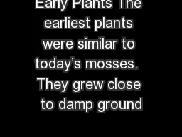 Early Plants The earliest plants were similar to today’s mosses.  They grew close to