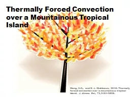 Thermally Forced Convection over a Mountainous Tropical Island