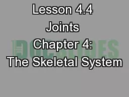 Lesson 4.4 Joints Chapter 4: The Skeletal System