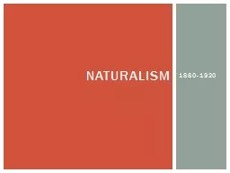 1880-1920 Naturalism Review