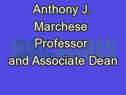 Anthony J. Marchese Professor and Associate Dean
