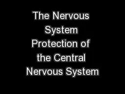 The Nervous System Protection of the Central Nervous System
