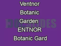 A guide to Ventnor Botanic Garden  ENTNOR Botanic Gard