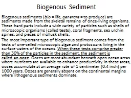 Biogenous  Sediment  Biogenous