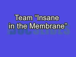 Team “Insane in the Membrane”