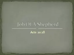 Acts 20:28 Job Of A Shepherd