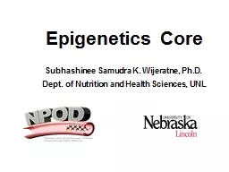 Epigenetics  Core Subhashinee