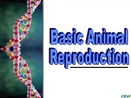1 Basic Animal Reproduction