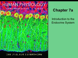 Chapter 7a Introduction to the Endocrine System