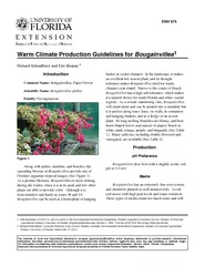 ENH  Warm Climate Production Guidelines for Bougainvil