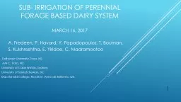 Sub- irrigation of perennial forage Based Dairy system