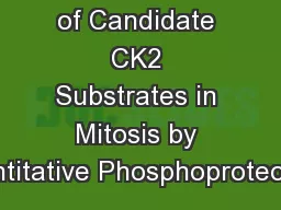 Identification of Candidate CK2 Substrates in Mitosis by Quantitative Phosphoproteomics