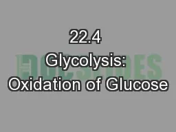 22.4 Glycolysis: Oxidation of Glucose
