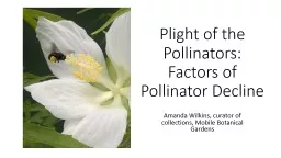 Pollinators: Organisms, syndromes, and challenges