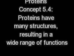 Proteins Concept 5.4: Proteins have many structures, resulting in a wide range of functions