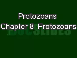 Protozoans Chapter 8  Protozoans