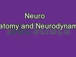 Neuro   Anatomy and Neurodynamics