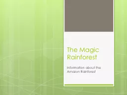 The Magic Rainforest Information about the Amazon Rainforest
