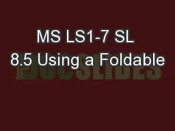 MS LS1-7 SL 8.5 Using a Foldable