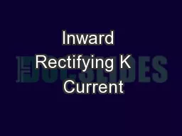 Inward Rectifying K    Current