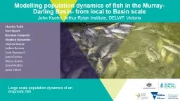 Modelling population dynamics of fish in the Murray-Darling Basin- from local to Basin scale