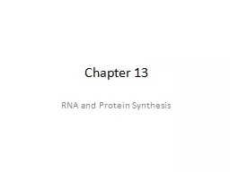 Chapter 13 RNA and Protein Synthesis