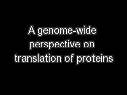 A genome-wide perspective on translation of proteins