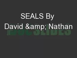 SEALS By David & Nathan