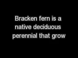 Bracken fern is a native deciduous perennial that grow
